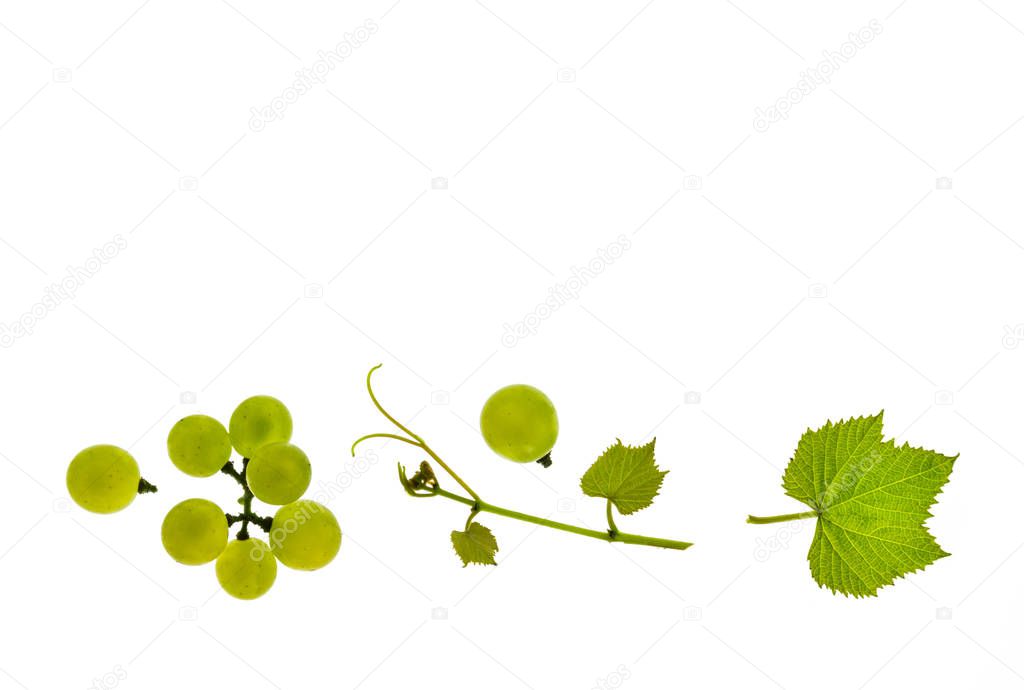 seedless table grapes and leaves isolated on white background with copy space