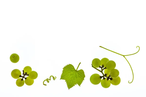 Raisins Feuilles Tiges Vin Blanc Isolés Sur Fond Blanc Avec — Photo