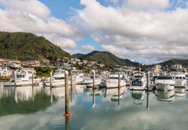 Picton marina, South Island, Yeni Zelanda demirleyen tekneleri