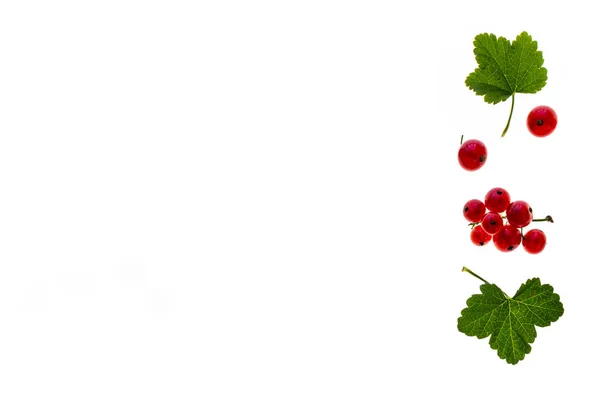 Piros Ribizli Bogyós Gyümölcsök Levelek Fehér Háttér — Stock Fotó