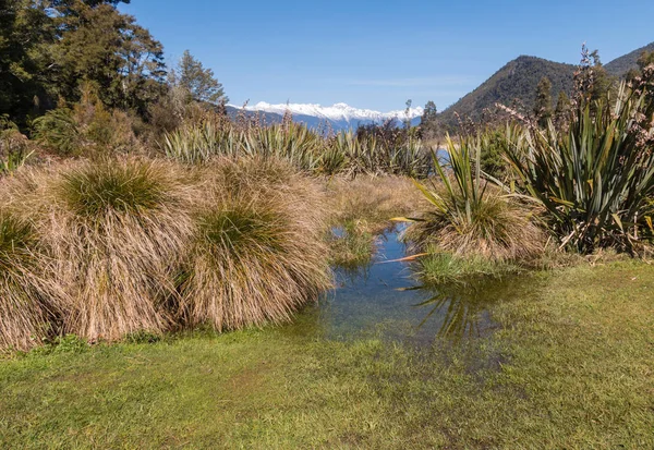 laker Rotoroa in Nelson Lakes National Park in early springtime