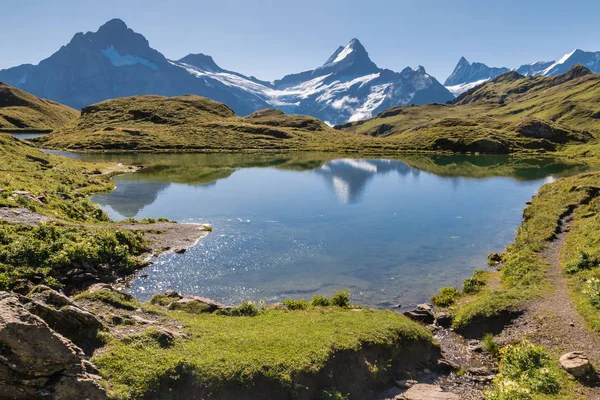 Picos Schreckhorn Jungfrau Wetterhorn Los Alpes Berneses Que Reflejan Lago — Foto de Stock
