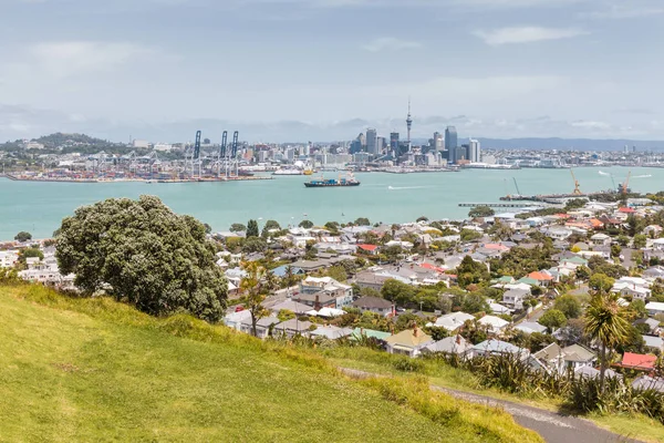 Auckland Panorama Cbd Devonport Předměstí Popředí Nový Zéland — Stock fotografie