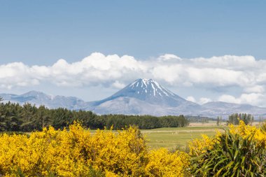 Tongariro Ulusal Parkı panoraması. Tongariro ve Ngauruhoe volkanları kümülüs bulutlarıyla kaplı.