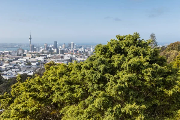 Auckland Cbd Panorama Mount Eden Modrou Oblohou Kopírovat Prostor — Stock fotografie