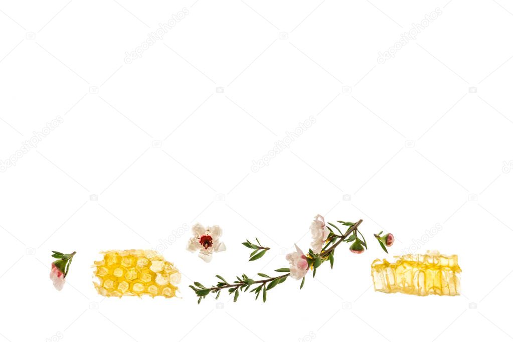 honeycomb with organic manuka honey, flowers and copy space above