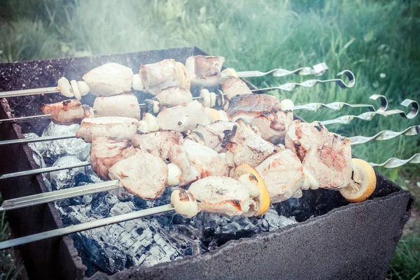 Shish Kebab Roosteren Grill Bbq Feestje — Stockfoto