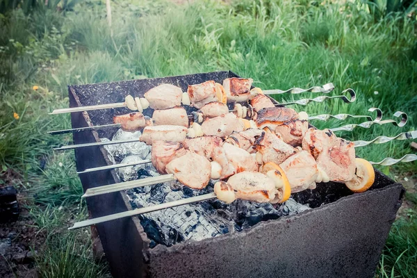 Shish Kebab Rôti Sur Gril Fête Barbecue — Photo