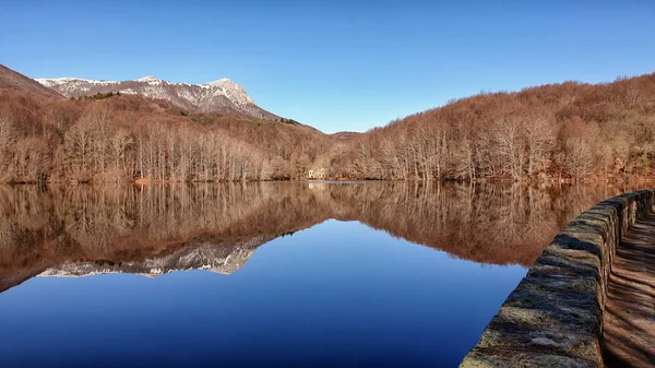 Paisajes y cosas, animales y bosques, fondos y colores