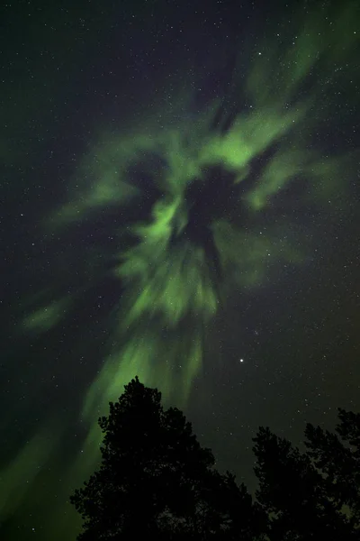북부 빛 해골 — 스톡 사진