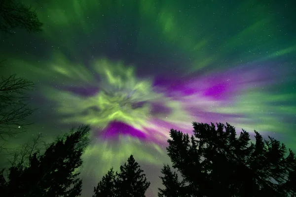 Bunte Nordlichter Nördlichen Nachthimmel Und Silhouetten Von Baumwipfeln — Stockfoto