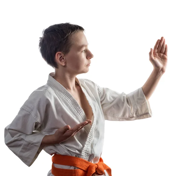 Karate, artes marciales, un joven sopla, artes marciales — Foto de Stock