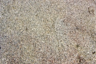 Tüf vulcanic bir kaya türü. yakın çekim arka plan dokusu