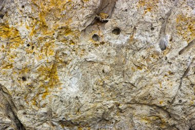 Tüf vulcanic bir kaya türü. yakın çekim arka plan dokusu