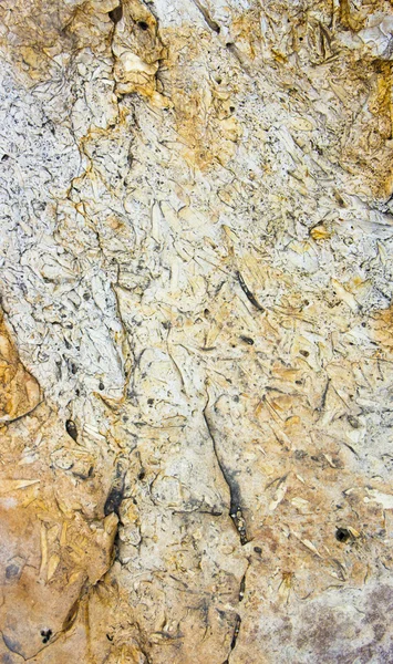Tuff is a vulcanic stone.  close-up background texture — Stock Photo, Image