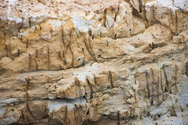 Tüf vulcanic bir kaya türü. yakın çekim arka plan dokusu