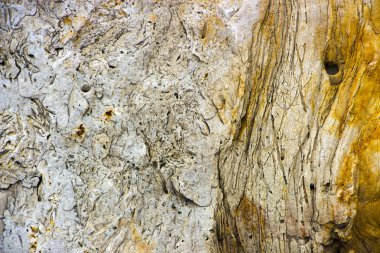 Tüf vulcanic bir kaya türü. yakın çekim arka plan dokusu