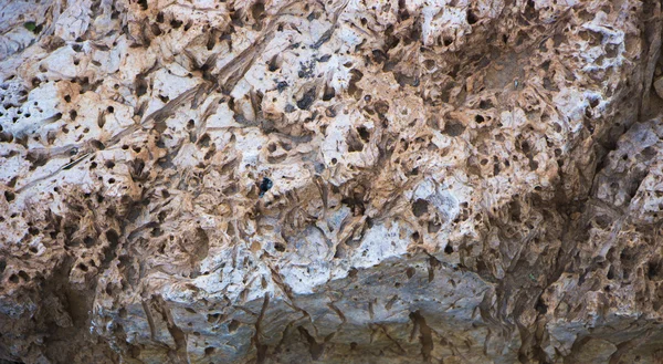 Tüf vulcanic bir kaya türü. yakın çekim arka plan dokusu — Stok fotoğraf