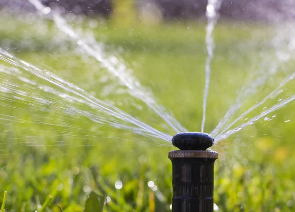 Nozzle Automatic Watering System Background Green Grass Close — Stock Photo, Image