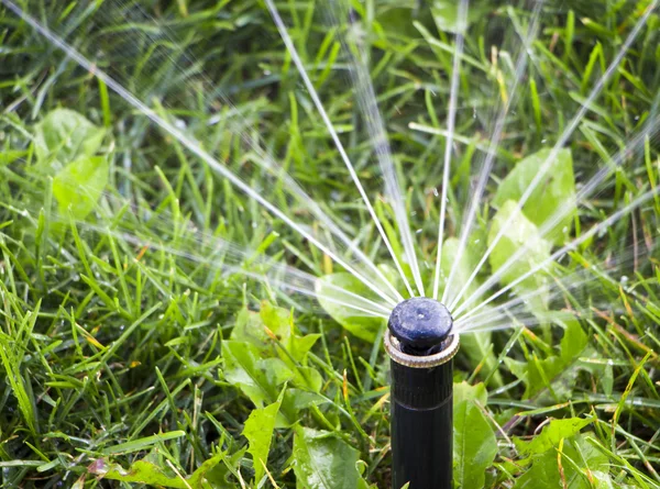 喷嘴自动洒水系统背景的绿草特写 — 图库照片