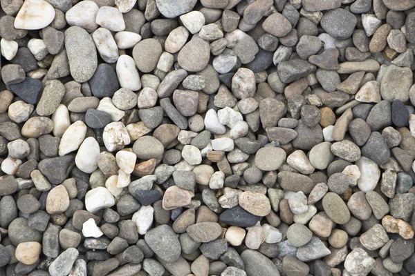 Kleine kleurrijke pebble voor landschapsarchitectuur, achtergrond — Stockfoto