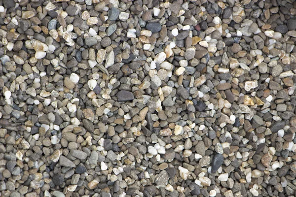 Kleine kleurrijke pebble voor landschapsarchitectuur, achtergrond — Stockfoto