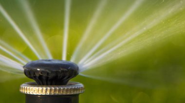 Bahçeye bir su püskürtme dönen bir yağmurlama