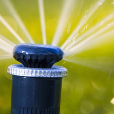 Bahçeye bir su püskürtme dönen bir yağmurlama