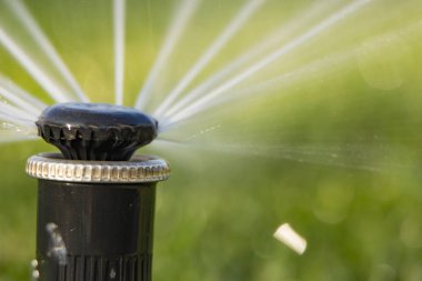 Bahçeye bir su püskürtme dönen bir yağmurlama