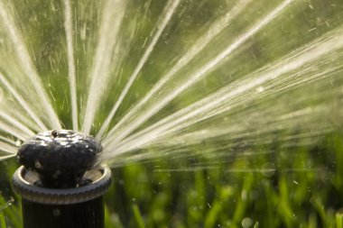 Bahçeye bir su püskürtme dönen bir yağmurlama