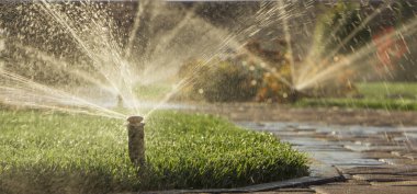 Bahçeye bir su püskürtme dönen bir yağmurlama