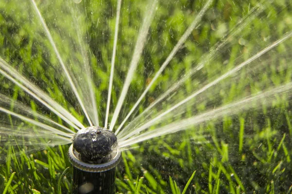 En roterande sprinkler besprutning en vatten in på bakgården — Stockfoto