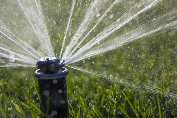 En roterande sprinkler besprutning en vatten in på bakgården — Stockfoto