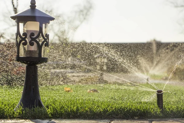 Un arroseur rotatif pulvérisant une eau dans la cour arrière — Photo