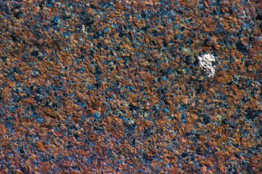 Granit Doku, Siyah ve Gri Noktalı Kırmızı Üs