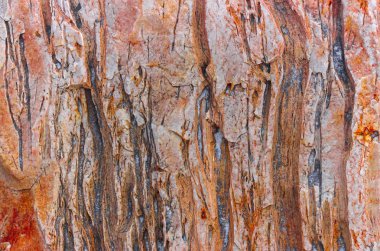 net olarak tanımlanmış doku ve kabartma kumtaşı arka plan