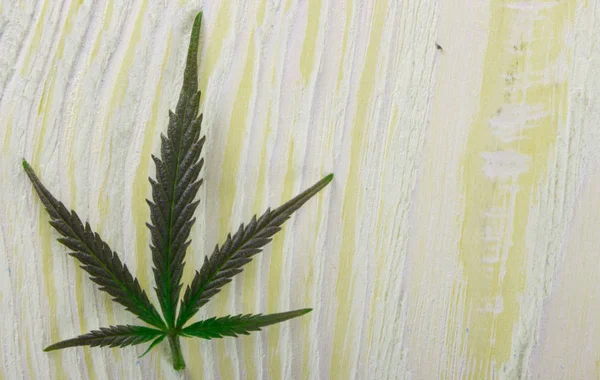 Hojas de cannabis sobre fondo de madera viejo — Foto de Stock