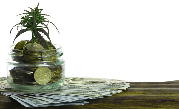 Feuille verte de cannabis, marijuana, Ganja, chanvre sur une facture de 100 dollars américains. concept d'entreprise. Feuille de cannabis et billets en dollars . — Photo