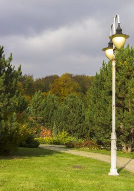 Güzel sonbahar park sokak. ağaçları ile sarı yapraklar