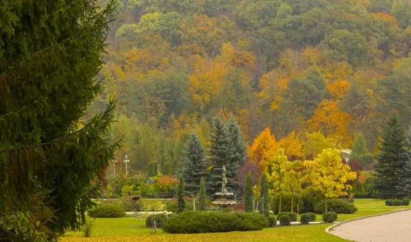 Schöner Herbstwald mit gelben Bäumen im Park — Stockfoto