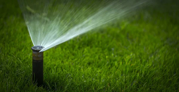 Automatic sprinkler system watering the lawn on a background of green grass — Stock Photo, Image