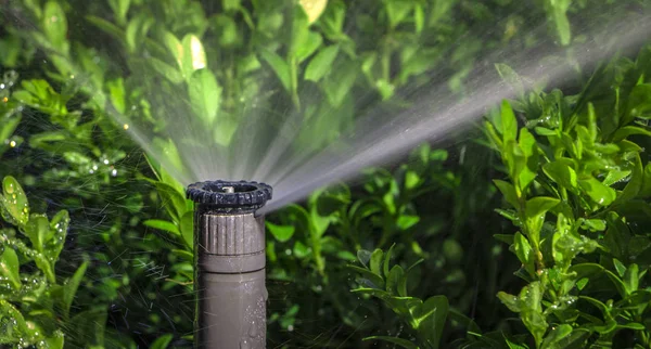 Automatisk sprinkler system vattna gräsmattan på en bakgrund av grönt gräs — Stockfoto