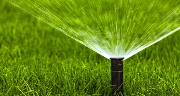 Automatic sprinkler system watering the lawn on a background of green grass — Stock Photo, Image