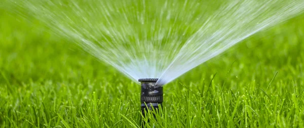 Automatisk sprinkler system vattna gräsmattan på en bakgrund av grönt gräs — Stockfoto