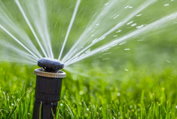 Automatic sprinkler system watering the lawn on a background of green grass — Stock Photo, Image