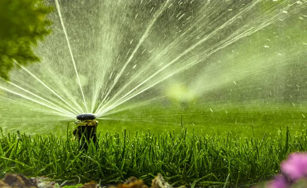 Automatische Beregnungsanlage zur Bewässerung des Rasens auf grünem Gras — Stockfoto