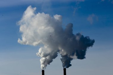 Bitki boru atmosfere zararlı maddeler yayar. Bir gökyüzü arka plan yakın çekim