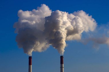 Bitki boru atmosfere zararlı maddeler yayar. Bir gökyüzü arka plan yakın çekim
