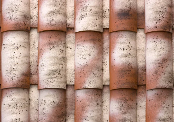 Telhas de plástico vermelho casa — Fotografia de Stock