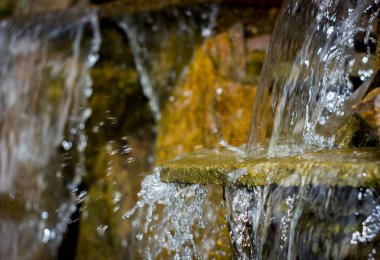 Dekoratif koi gölet Bahçe